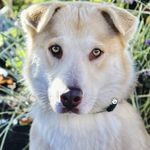 Devon Curry - @2currylove - Instagram