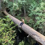 Devon - @devon.davis23 - Instagram