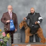 Devon Delaney - @castironairedales - Instagram