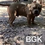 Devon Dennis - @devon.dennis - Instagram