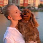 Алина Шелистова| ПИТОМНИК - @dialina.devon - Instagram