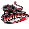 Devon Diamonds - @devonmedows.diamonds - TikTok