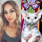 Devon Rex True Diamond 🇨🇭 - @of_true_diamond_devonrex - Instagram