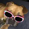 Devin  - @devindiliberto - TikTok