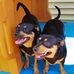 Devonne Dingley - Facebook