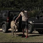 Devon Dobbs - @dobbs18 - Instagram