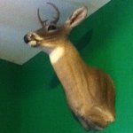 Redneck Devon Dobbs - @devonredneckdobbs - Instagram