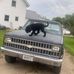 Devin Dubois - Facebook