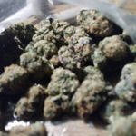 Devon Duran - @meadowview_move_meant - Instagram