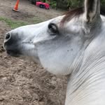 Devin Durant - @durant_spamm - Instagram