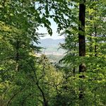 Devon - @devon_____dyer5rpk4 - Instagram