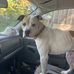 Devon Eckley - Facebook