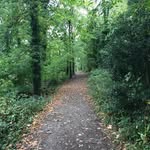 a devon for all  seasons - @a_devon_for_all_seasons - Instagram
