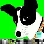 Devon Edwards - @greenscreendoggo - Instagram