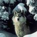 Devan Eng - Facebook