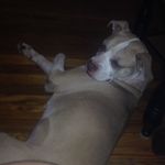 Devin Estes - @devin379 - Instagram
