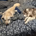 Devon Estrada - @devopat - Instagram