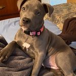Devon Ewing - @devone2006 - Instagram
