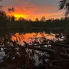 Devin Fairchild - @devinfairchild16 - TikTok