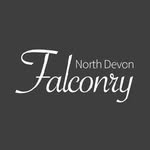 North Devon Falconry - @northdevonfalconry - Instagram