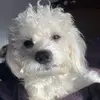 devon - @devonfs - TikTok