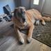 Devin Fletcher - Facebook