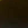 devonotflora - @devonotflora - TikTok
