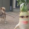 Nguyễn Huy - @devonbomflora - TikTok