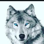Devon Flores - @devedflo3 - Instagram