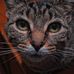Deven Fox - Facebook