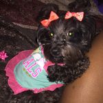 Devon Frazier - @sweetsadiesbaby - Instagram
