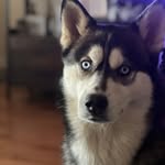 Devon Frost - @devon_1073 - Instagram