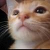 Devon - @officialdevonfryar - TikTok