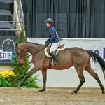 Devon Gamble - @cardinal_equestrian - Instagram