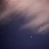 devonne.garnette351 - @devonne.garnette351 - TikTok