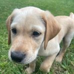 Devon Garrett - Facebook