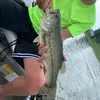 devon gentry - @devongentry88 - TikTok