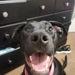 Devyn Gifford - Facebook