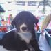 Devin Med De Guzman  - Facebook