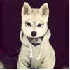 Devin Goolsby - @devingoolsby - TikTok