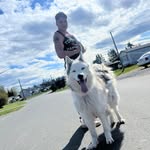 Devon Grey - @devonaidengrey - Instagram