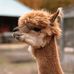 Devin Halvorson - Facebook