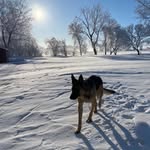 Devon Heinrichs - @devon_heinrichs - Instagram