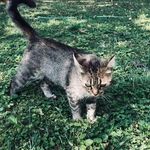 Devon Hess - @devonhess85 - Instagram