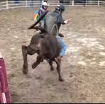 Devin Hoffman - Facebook