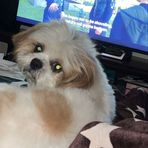 Devyn Howe - Facebook