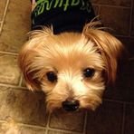 Devin Humphrey - Facebook