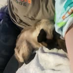 Devon Jones - Facebook
