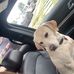 Devon Kirk - Facebook