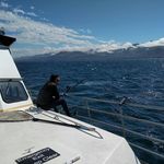 Devon McAllister - @dmcall.jpg - Instagram